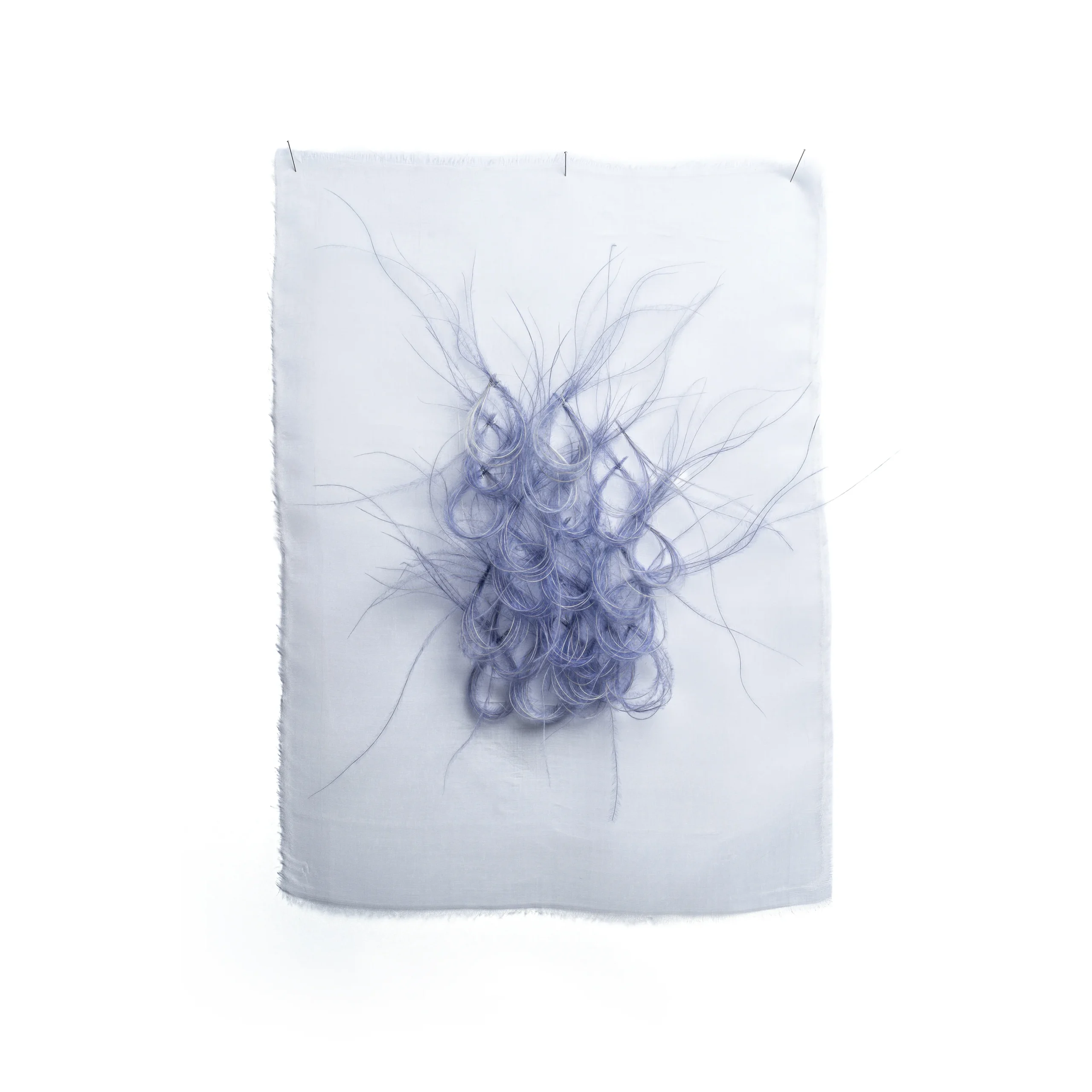 lilac_on_cloth