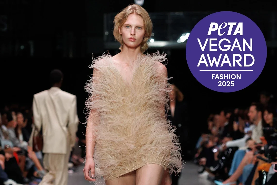 peta-vegan-award-winner